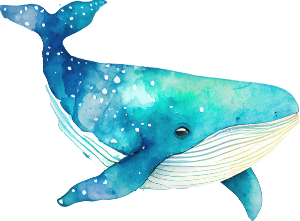 Whale Watercolor Illustration